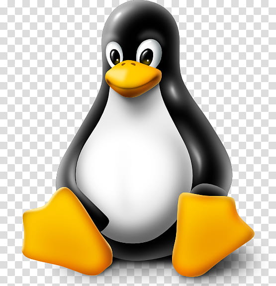 Linux